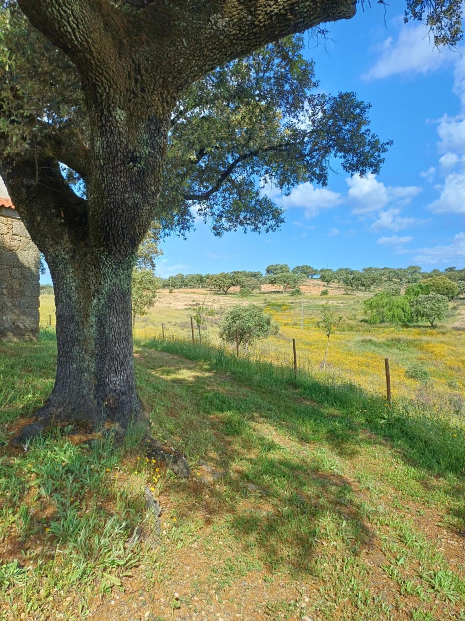 Monte Da Fonte Santa De São Luís Casa de Campo